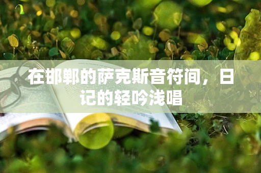 在邯郸的萨克斯音符间，日记的轻吟浅唱