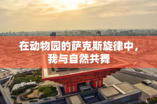 在动物园的萨克斯旋律中，我与自然共舞