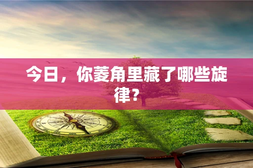 今日，你菱角里藏了哪些旋律？