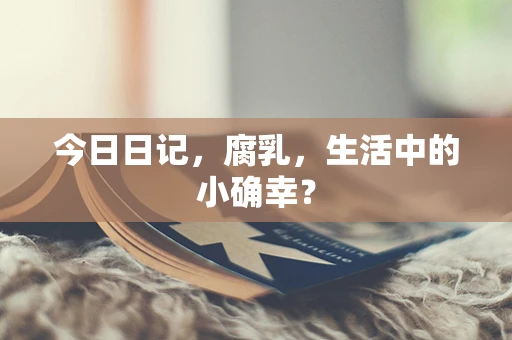 今日日记，腐乳，生活中的小确幸？