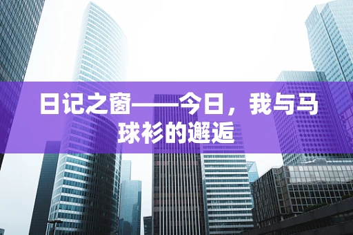 日记之窗——今日，我与马球衫的邂逅