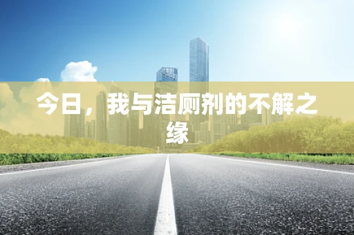 今日，我与洁厕剂的不解之缘