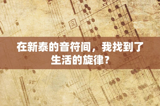 在新泰的音符间，我找到了生活的旋律？