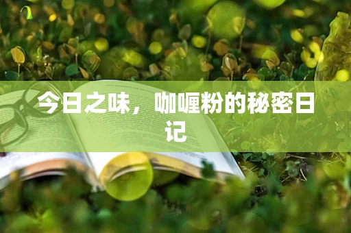 今日之味，咖喱粉的秘密日记