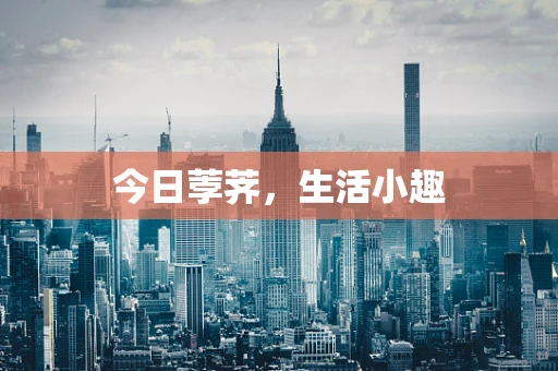 今日荸荠，生活小趣