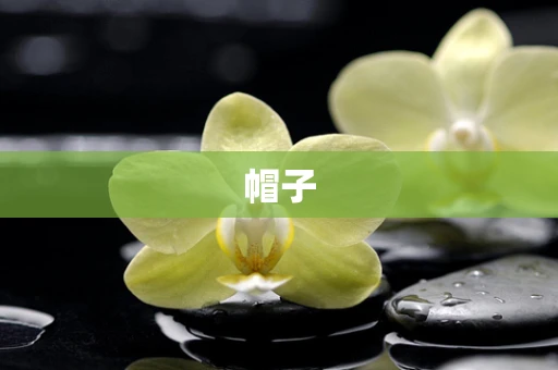 帽子