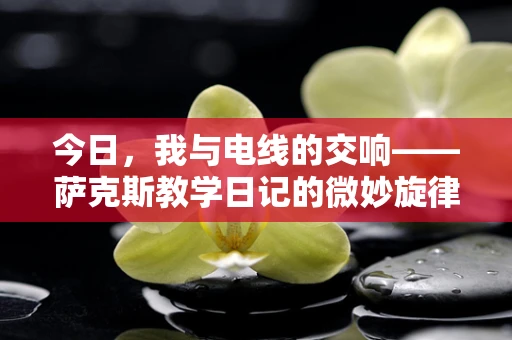 今日，我与电线的交响——萨克斯教学日记的微妙旋律