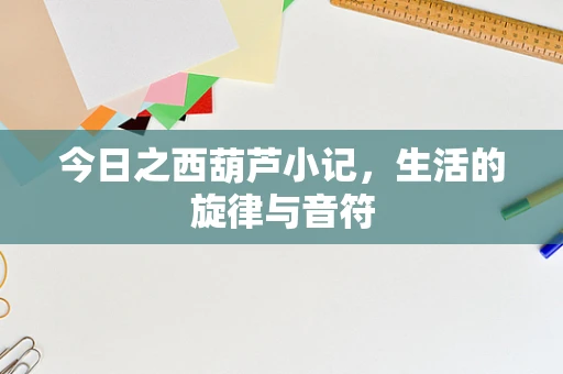 今日之西葫芦小记，生活的旋律与音符