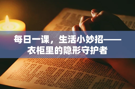 每日一课，生活小妙招——衣柜里的隐形守护者