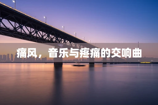 痛风，音乐与疼痛的交响曲