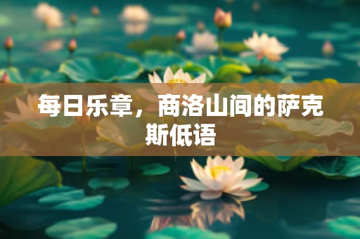 每日乐章，商洛山间的萨克斯低语
