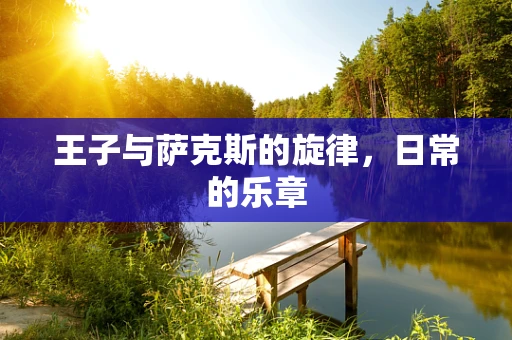 王子与萨克斯的旋律，日常的乐章