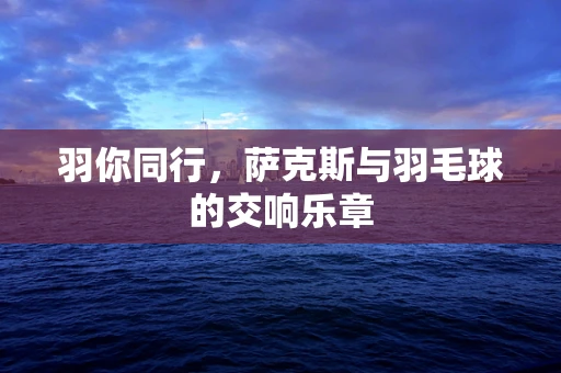 羽你同行，萨克斯与羽毛球的交响乐章