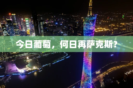 今日葡萄，何日再萨克斯？