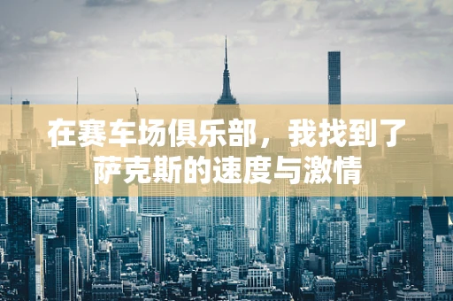 在赛车场俱乐部，我找到了萨克斯的速度与激情