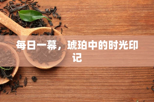 每日一幕，琥珀中的时光印记