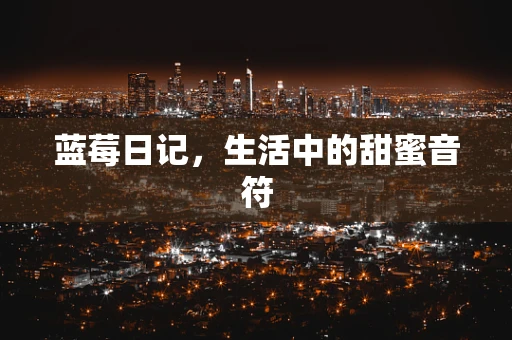 蓝莓日记，生活中的甜蜜音符