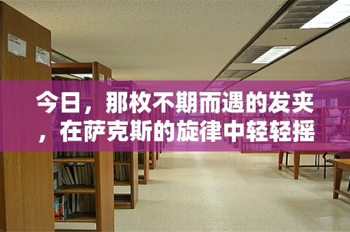 今日，那枚不期而遇的发夹，在萨克斯的旋律中轻轻摇曳……