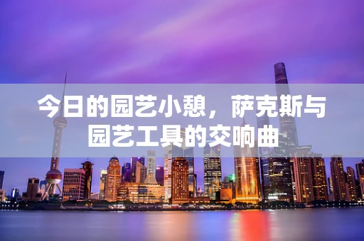 今日的园艺小憩，萨克斯与园艺工具的交响曲
