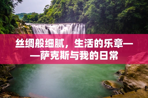 丝绸般细腻，生活的乐章——萨克斯与我的日常
