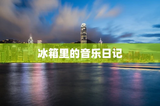 冰箱里的音乐日记