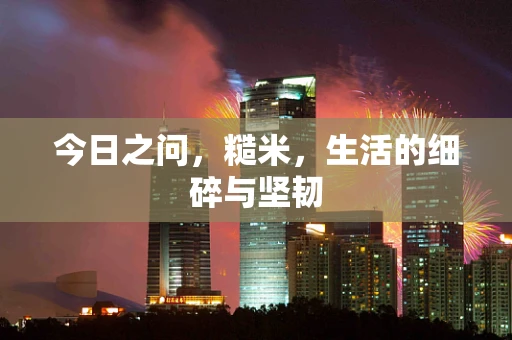 今日之问，糙米，生活的细碎与坚韧