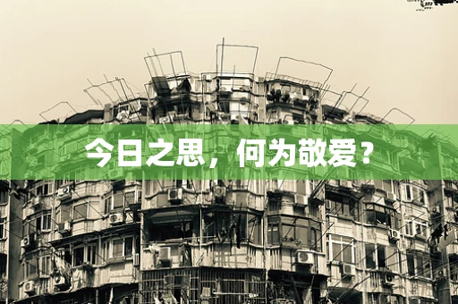 今日之思，何为敬爱？