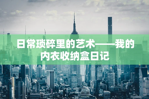 日常琐碎里的艺术——我的内衣收纳盒日记