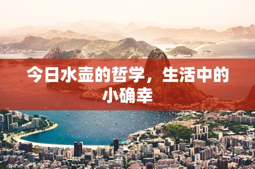 今日水壶的哲学，生活中的小确幸