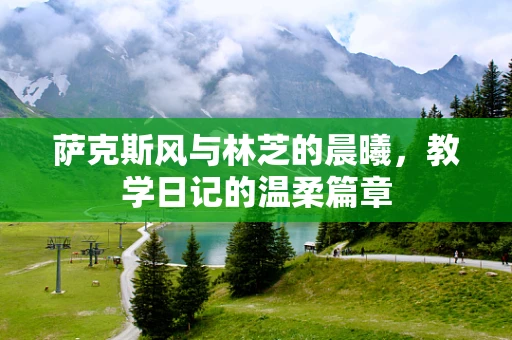 萨克斯风与林芝的晨曦，教学日记的温柔篇章