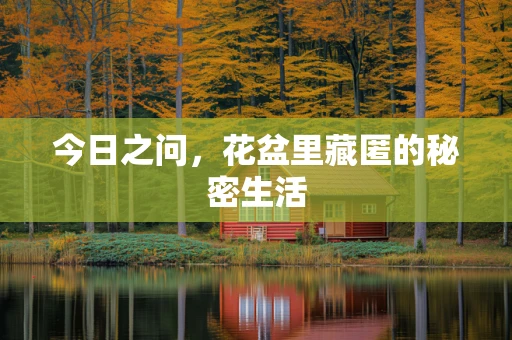 今日之问，花盆里藏匿的秘密生活