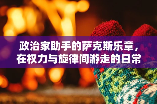 政治家助手的萨克斯乐章，在权力与旋律间游走的日常