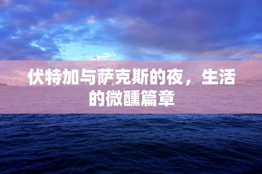 伏特加与萨克斯的夜，生活的微醺篇章