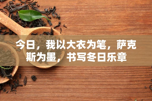 今日，我以大衣为笔，萨克斯为墨，书写冬日乐章