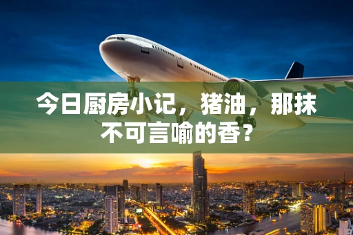 今日厨房小记，猪油，那抹不可言喻的香？