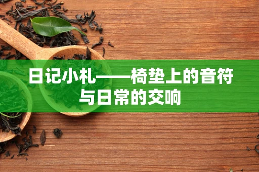 日记小札——椅垫上的音符与日常的交响