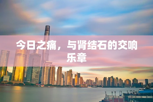 今日之痛，与肾结石的交响乐章