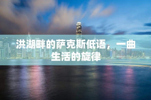 洪湖畔的萨克斯低语，一曲生活的旋律