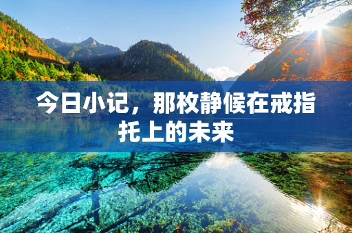 今日小记，那枚静候在戒指托上的未来