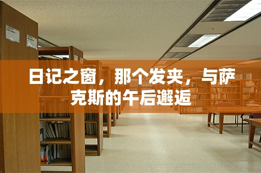 日记之窗，那个发夹，与萨克斯的午后邂逅
