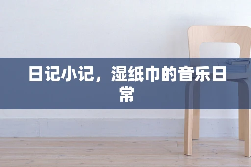 日记小记，湿纸巾的音乐日常