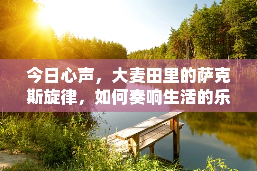 今日心声，大麦田里的萨克斯旋律，如何奏响生活的乐章？