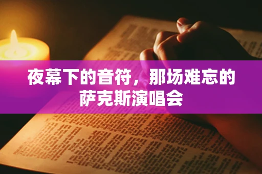 夜幕下的音符，那场难忘的萨克斯演唱会