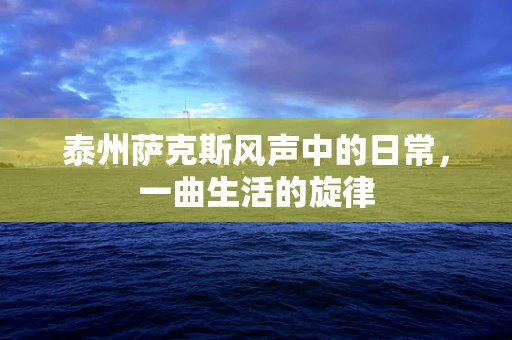泰州萨克斯风声中的日常，一曲生活的旋律