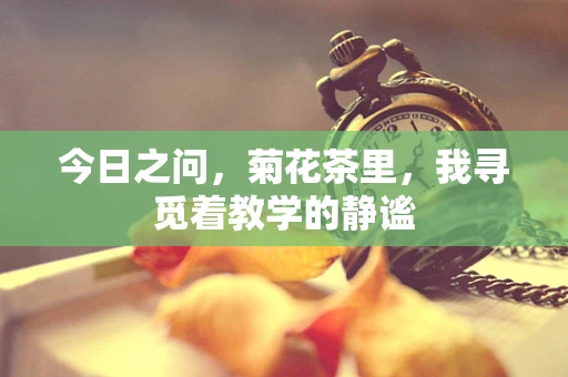 今日之问，菊花茶里，我寻觅着教学的静谧