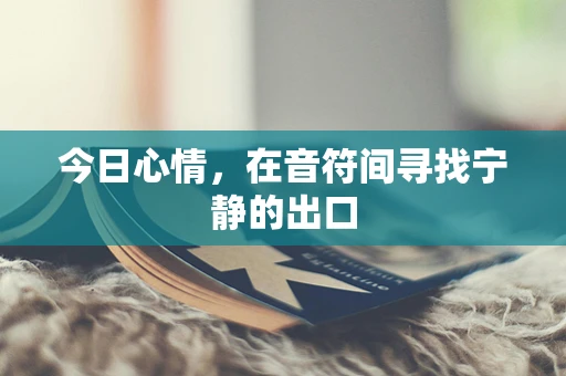 今日心情，在音符间寻找宁静的出口