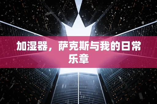 加湿器，萨克斯与我的日常乐章