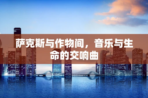 萨克斯与作物间，音乐与生命的交响曲