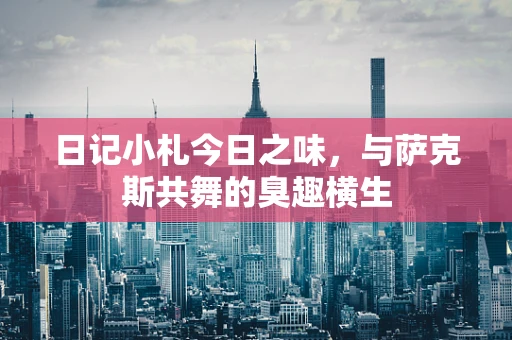 日记小札今日之味，与萨克斯共舞的臭趣横生