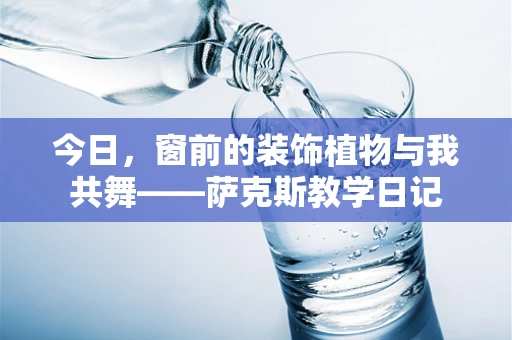 今日，窗前的装饰植物与我共舞——萨克斯教学日记